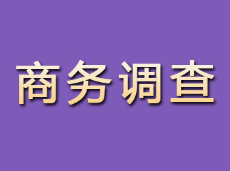 河南商务调查